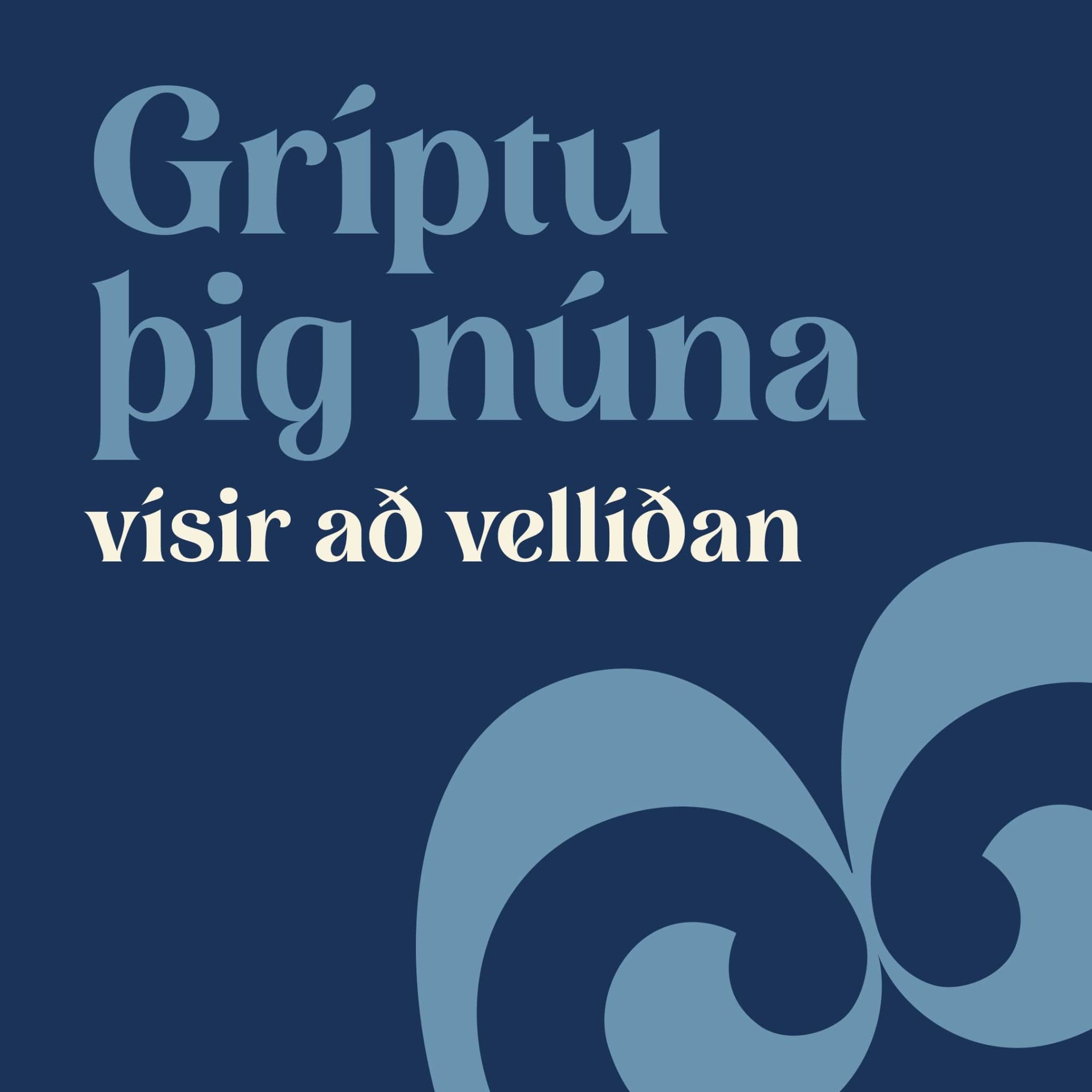 Fyrirlestrar - fyrirtæki