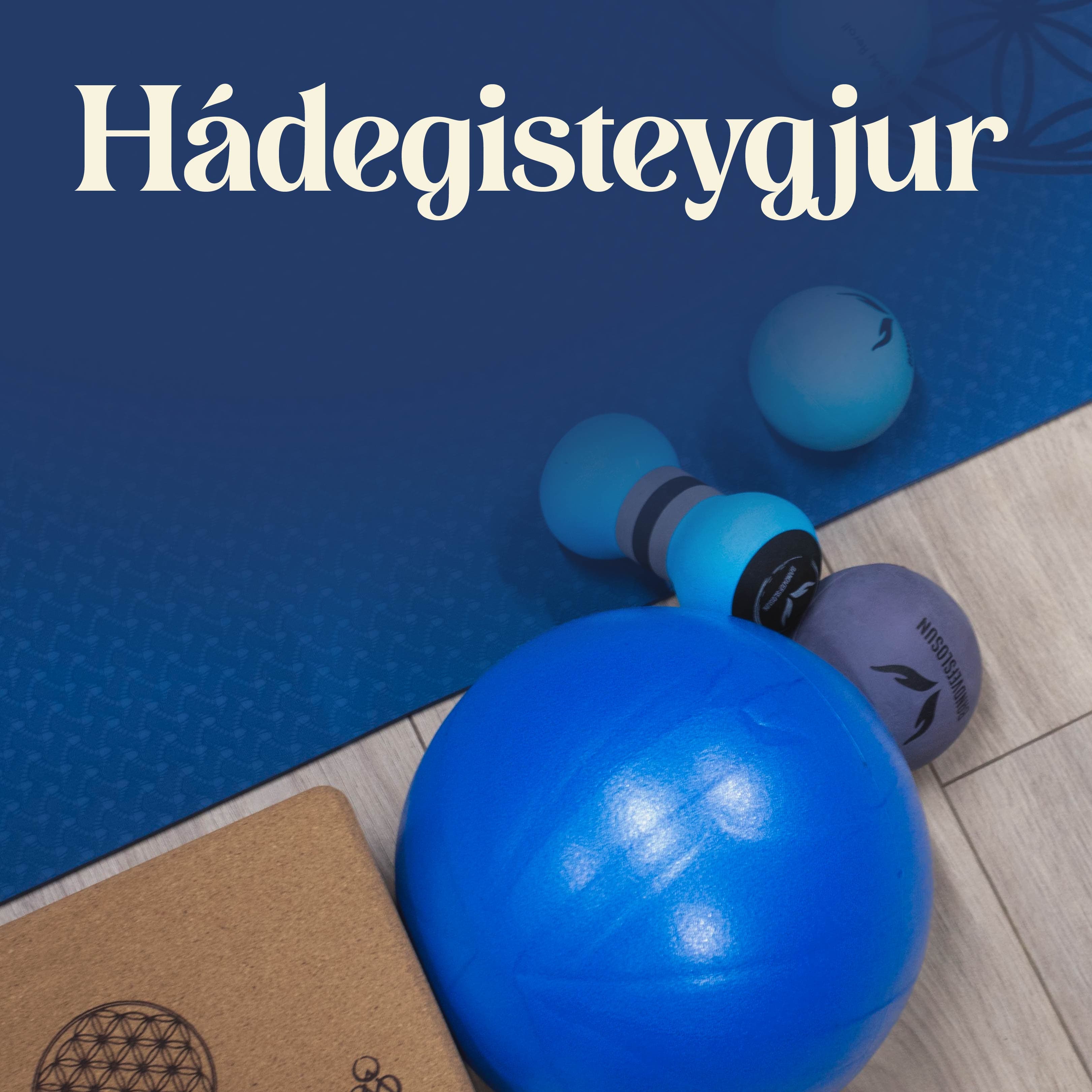 NÝTT! Námskeið